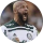 Tipér AGORAVAI