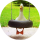 Tipér KaczaZajawka