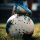 Tipér King of soccer