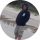 Tipér Adam Dyzma