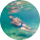 Tipér acquaman
