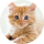 Tipér Redcat