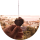 Tipér WarleyENTips