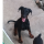 Tipér Doug77